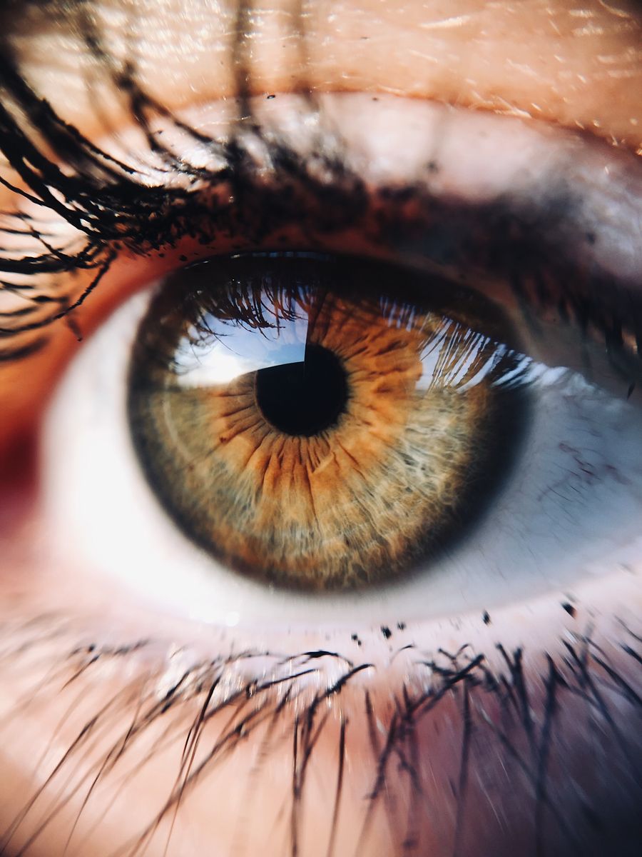Choosing a Lash Style: Classic, Hybrid, Volume, or Lift